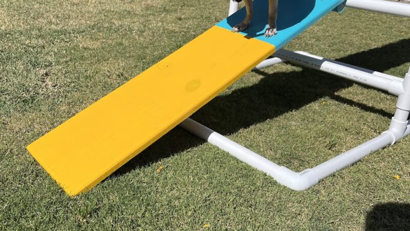 Rooney and Desi’s sniff ‘n’ play yard - Calexico, CA