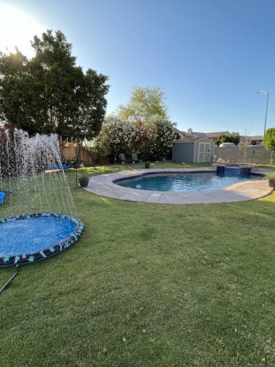 Rooney and Desi’s sniff ‘n’ play yard - Calexico, CA