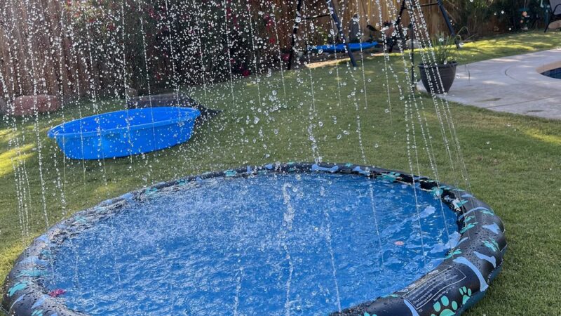 Rooney and Desi’s sniff ‘n’ play yard - Calexico, CA