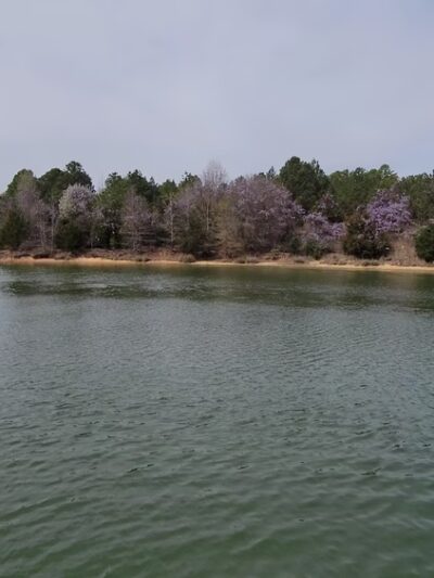 Blue Hole Rec Area - Calhoun Falls, SC