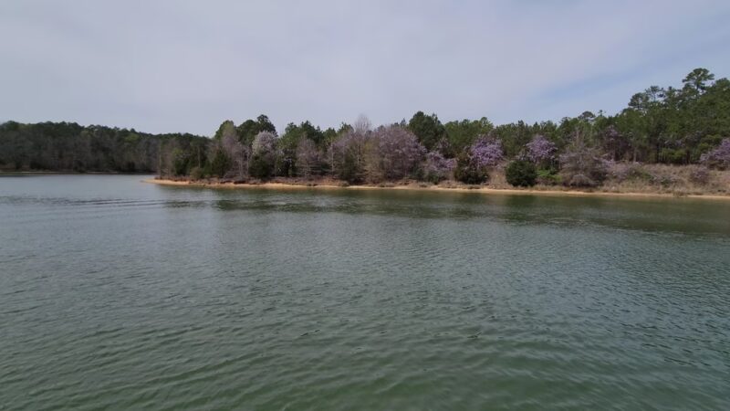 Blue Hole Rec Area - Calhoun Falls, SC