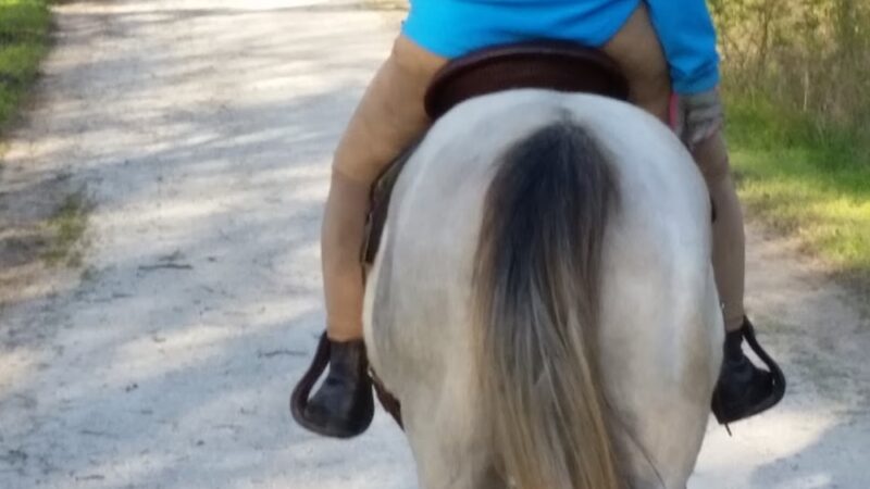 Katy Trail - Calhoun Trailhead - Calhoun, MO