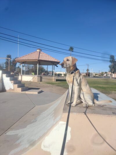 Calipatria Park - Calipatria, CA