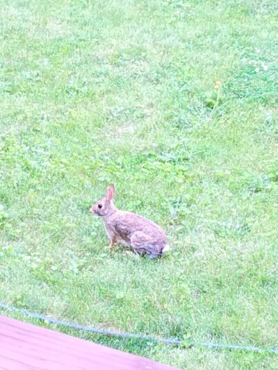 Calumet Memorial Park District - Calumet City, IL