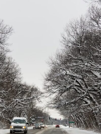 Wentworth Prairie Forest Preserve - Calumet City, IL