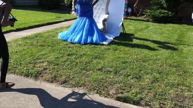 Wentworth Prairie Forest Preserve - Calumet City, IL