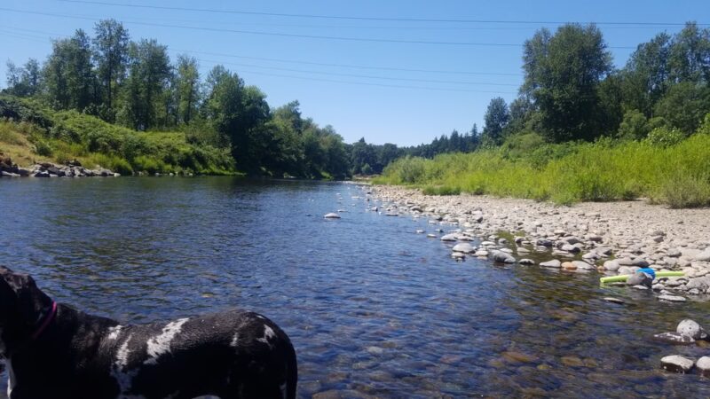 Beaver Park - Washougal River Greenway Trail - Camas, WA