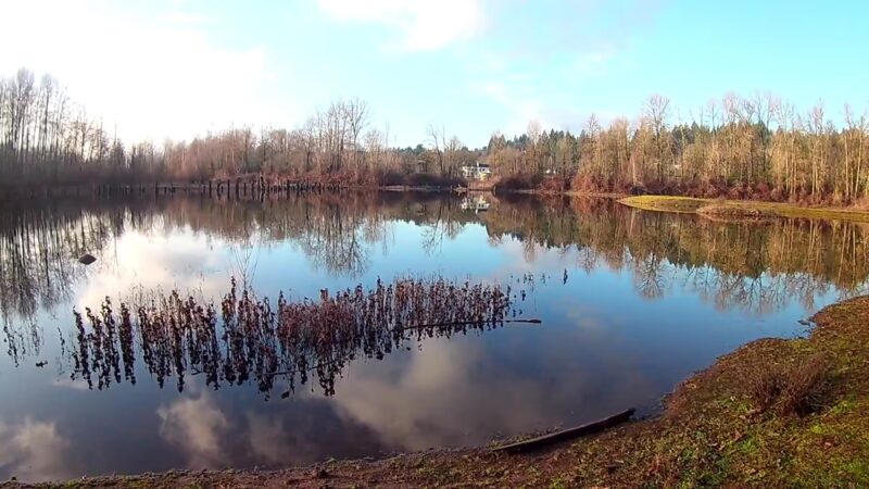 Beaver Park - Washougal River Greenway Trail - Camas, WA