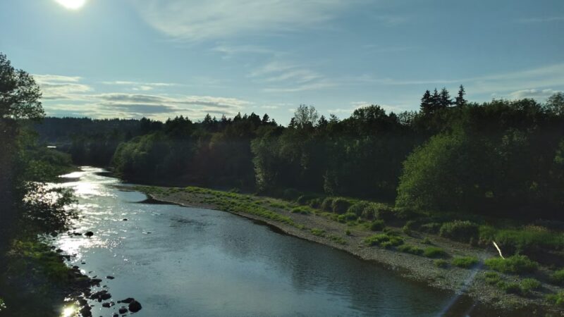 Beaver Park - Washougal River Greenway Trail - Camas, WA