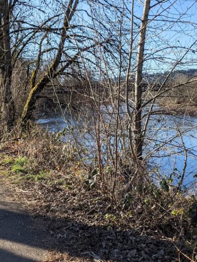 Beaver Park - Washougal River Greenway Trail - Camas, WA