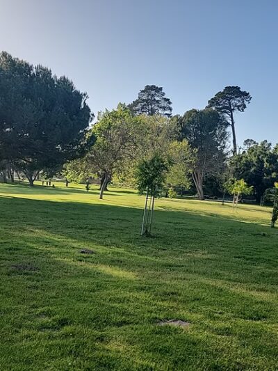 Hearst San Simeon State Park - Cambria, CA