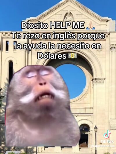 Cambria Playground - Cambria Heights, NY