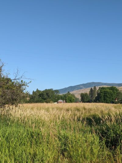 Weiser River Trail - Cambridge, ID