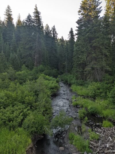 Weiser River Trail - Cambridge, ID