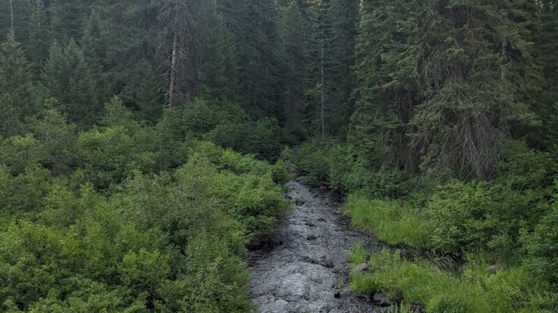 Weiser River Trail - Cambridge, ID