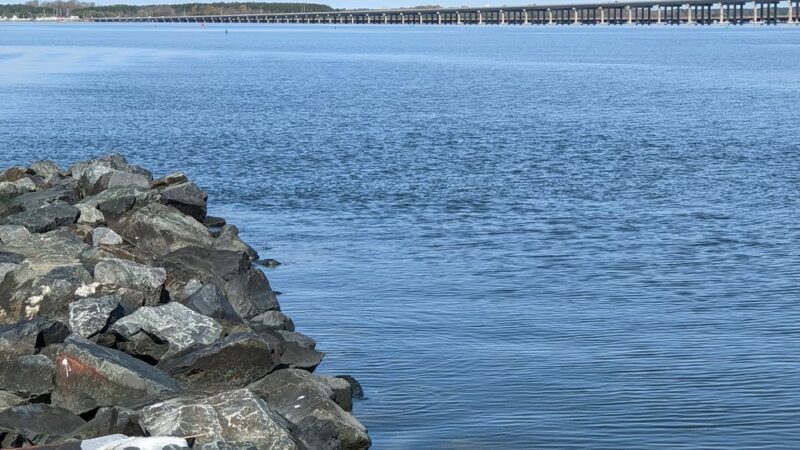 Long Wharf Park - Cambridge, MD