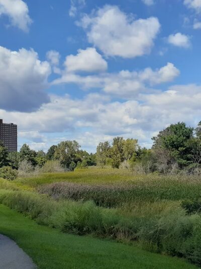 Danehy Park - Cambridge, MA