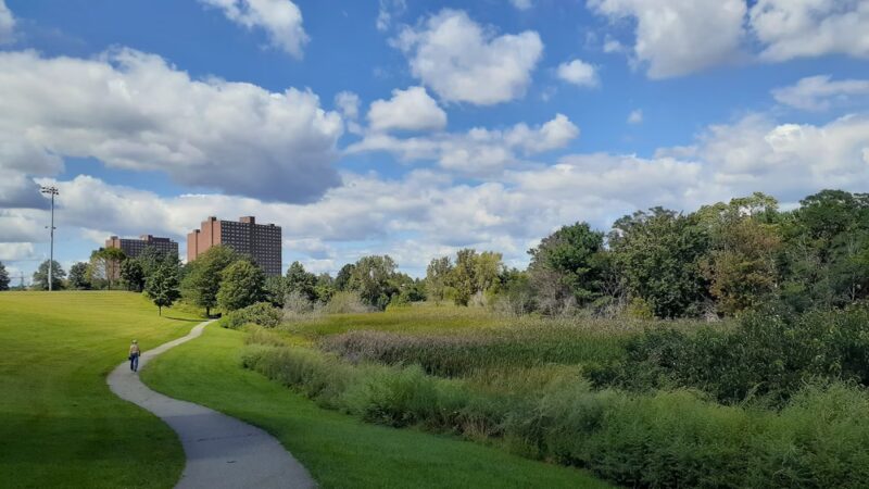 Danehy Park - Cambridge, MA