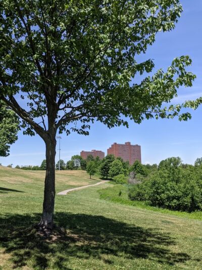 Danehy Park - Cambridge, MA