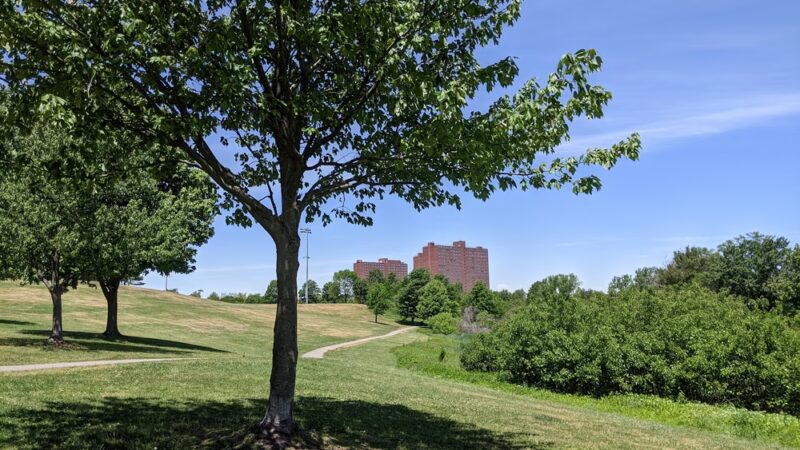 Danehy Park - Cambridge, MA