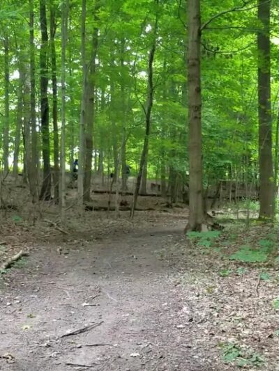 Muddy Creek Holly Trail - Cambridge Springs, PA