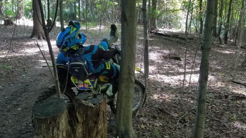 Muddy Creek Holly Trail - Cambridge Springs, PA