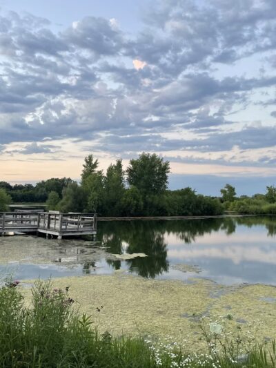 Cambridge Fishing Ponds and Wildlife Area - Cambridge, WI
