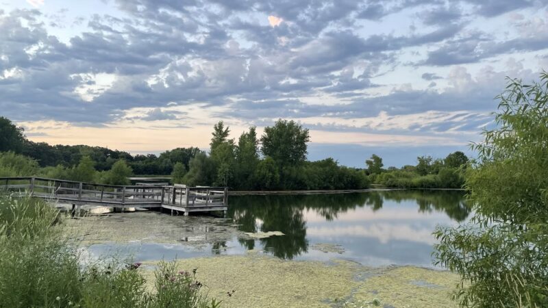 Cambridge Fishing Ponds and Wildlife Area - Cambridge, WI