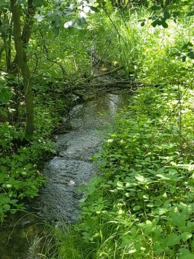 CamRock County Park - Cambridge, WI