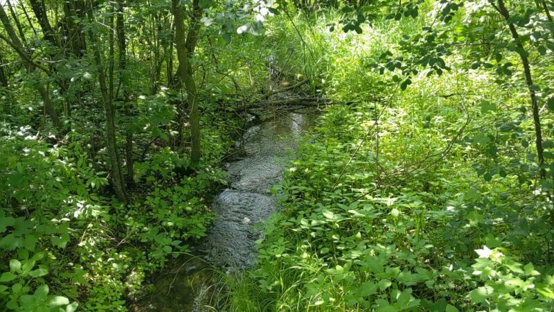 CamRock County Park - Cambridge, WI
