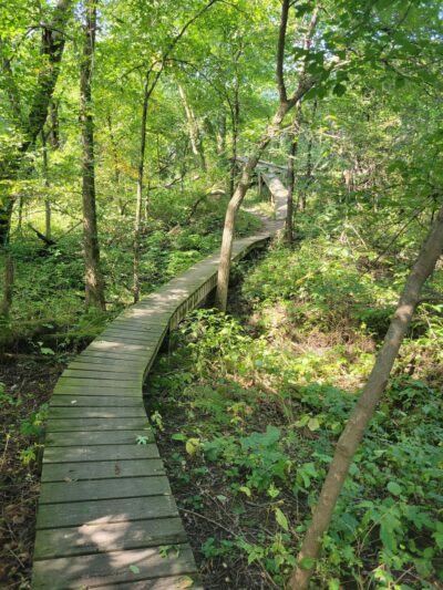 CamRock County Park - Cambridge, WI