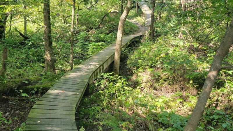 CamRock County Park - Cambridge, WI