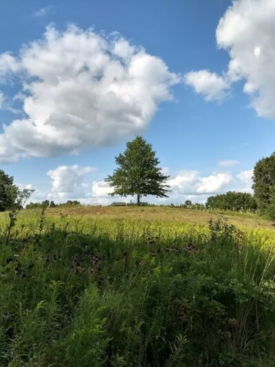 CamRock County Park - Cambridge, WI