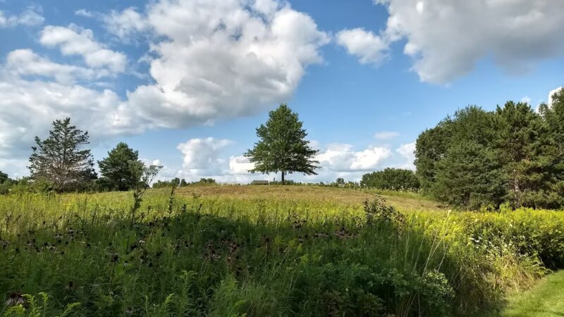 CamRock County Park - Cambridge, WI