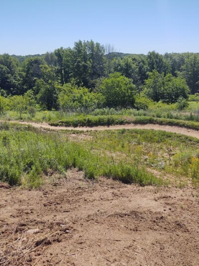 CamRock County Park Area 3 - Cambridge, WI