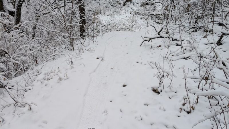 CamRock County Park Area 3 - Cambridge, WI