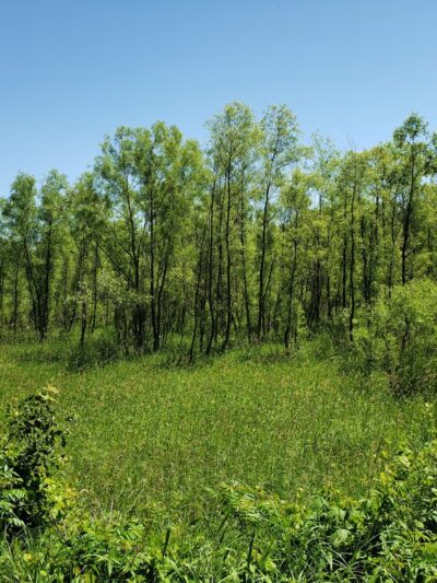 CamRock Walking Trailhead - Cambridge, WI