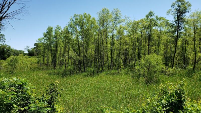 CamRock Walking Trailhead - Cambridge, WI