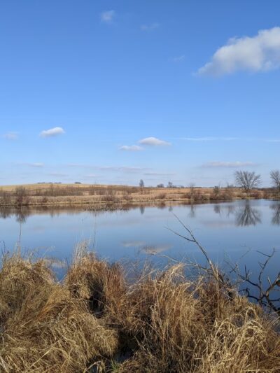 Lake District Prairie Preserve - Cambridge, WI