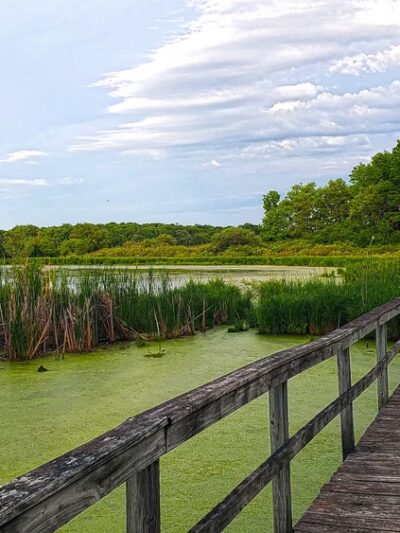 Lake District Prairie Preserve - Cambridge, WI