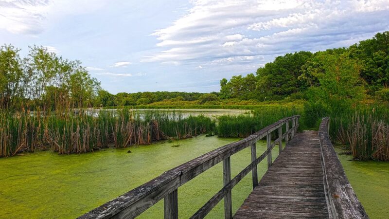 Lake District Prairie Preserve - Cambridge, WI