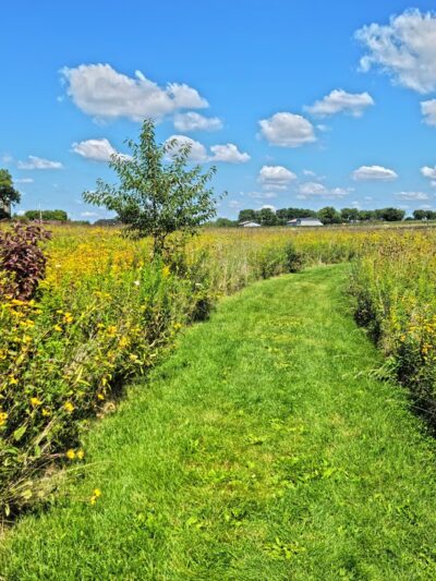 Lake District Prairie Preserve - Cambridge, WI
