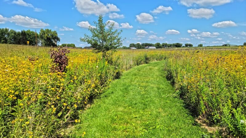Lake District Prairie Preserve - Cambridge, WI