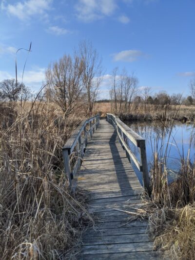 Lake District Prairie Preserve - Cambridge, WI