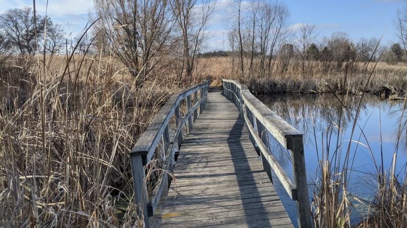 Lake District Prairie Preserve - Cambridge, WI