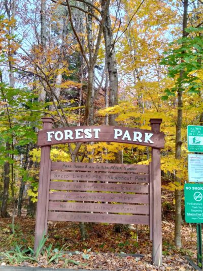 Forest Park - Camden, NY