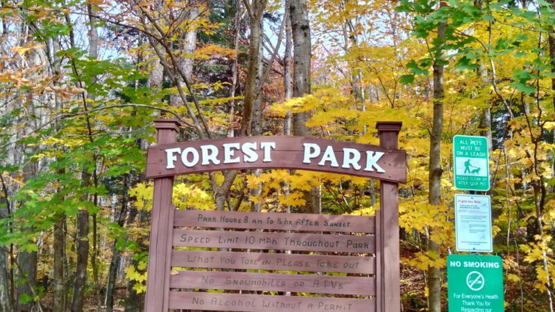 Forest Park - Camden, NY