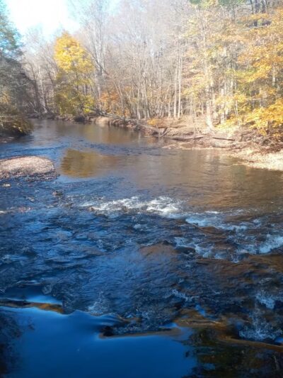 Forest Park - Camden, NY