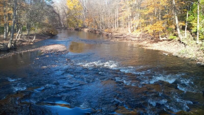 Forest Park - Camden, NY