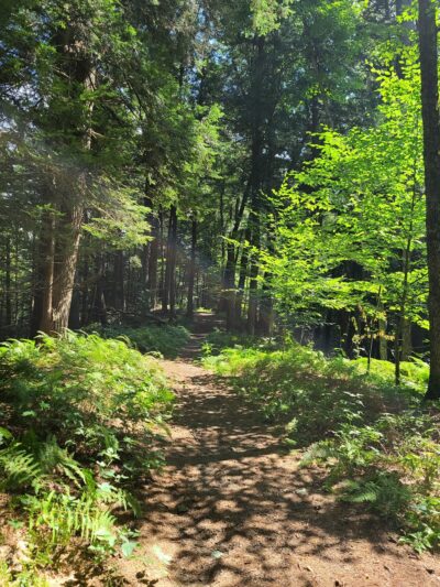 Forest Park - Camden, NY